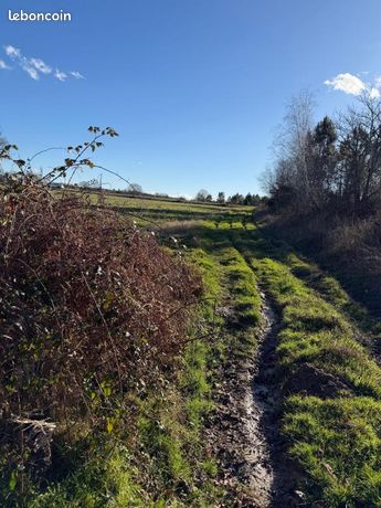 Terrain agricole 12 465 m² Montsoue