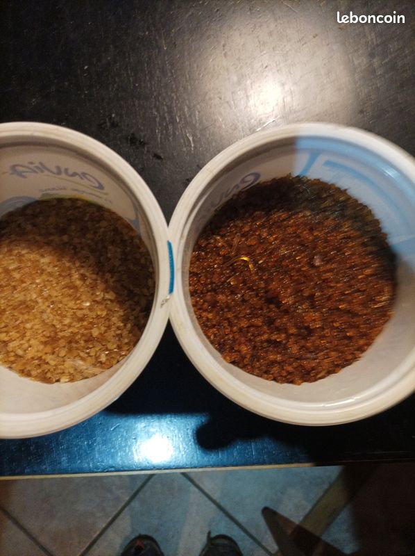 Lot de 250 grammes de colle d'os + 250 grammes de colle de nerf (image 1)