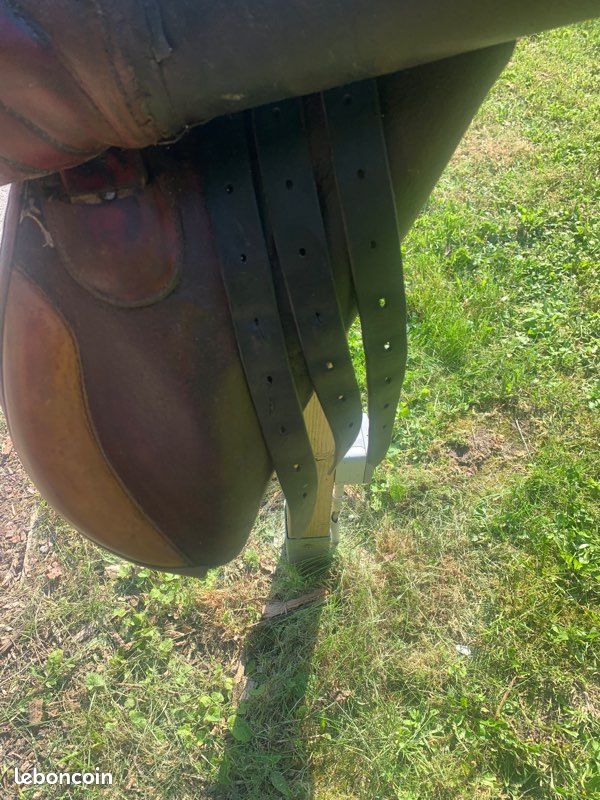 Selle mixte (image 5)