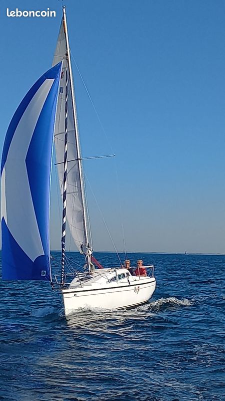 B2 Marine Djinn 7 — View photo 1