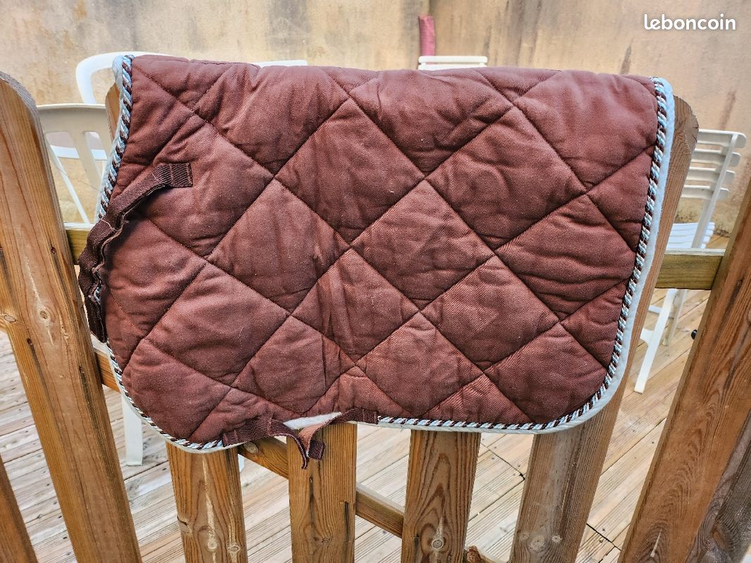 Tapis poney (image 1)