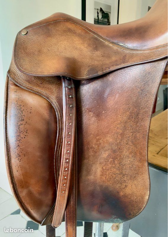 Selle de dressage Delgrange (image 8)