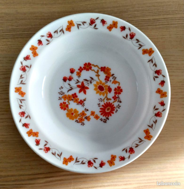 Lot1 De 9 Petites Assiettes Arcopal Vintage France D 18,5 Cm Fleurs Oranges Imgx1200 3031