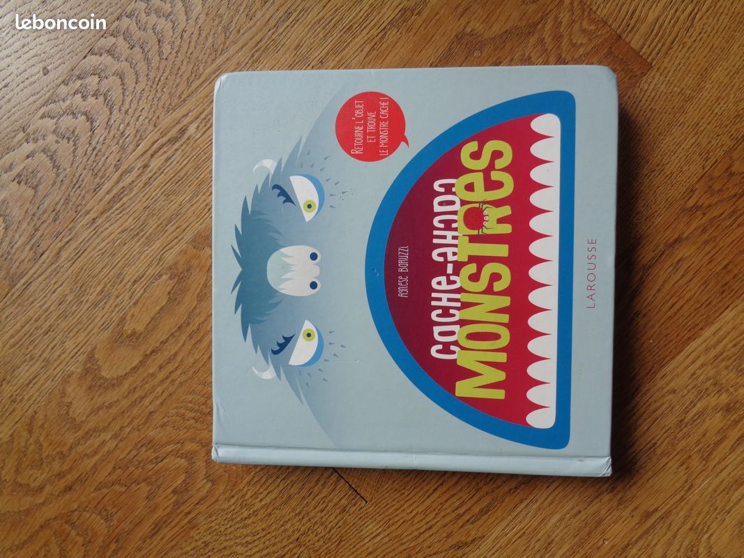 Livre cache cache (image 1)