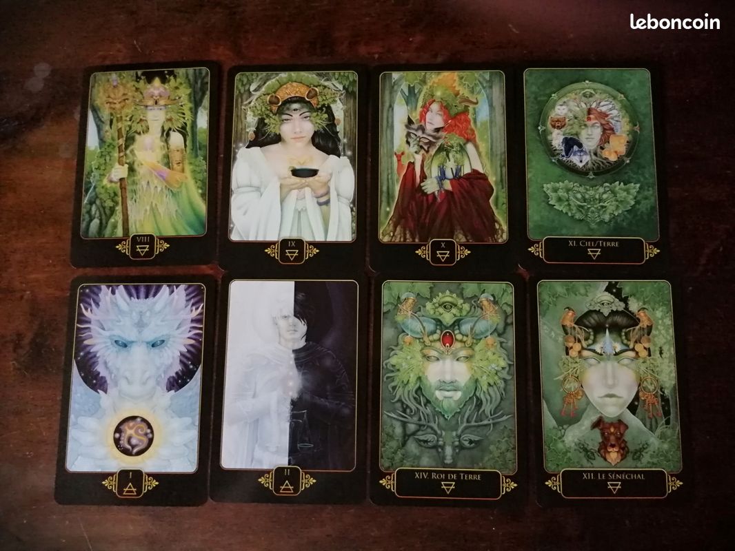 Le tarot des rêves de Gaïa (de Ravynne Phelan)- relié et illustré (image 12)