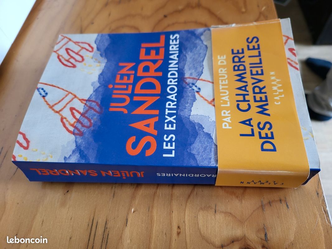 Les extraordinaires Julien Sandrel (image 1)