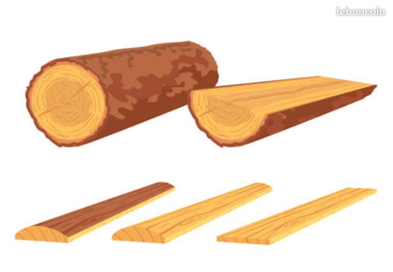 Bois hêtre 5 m3 (image 1)