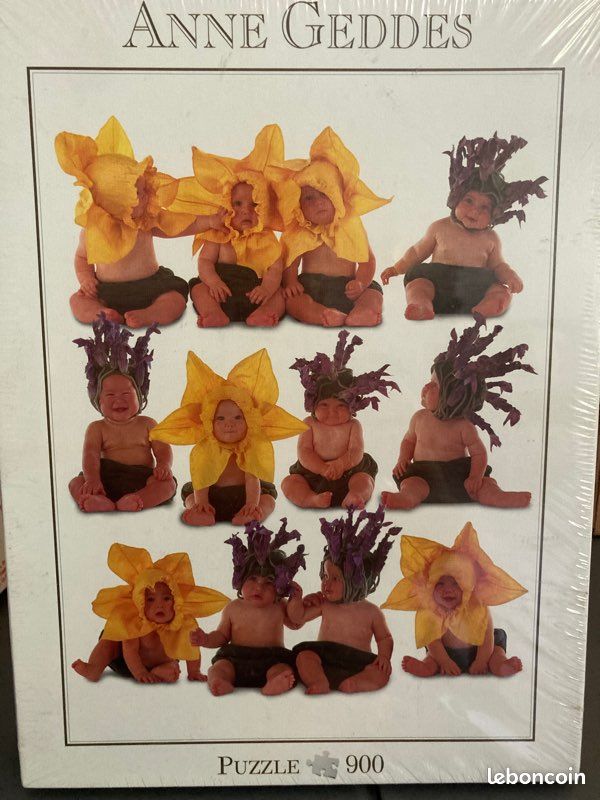 Puzzle 1000 pièces Anne Geddes (image 1)