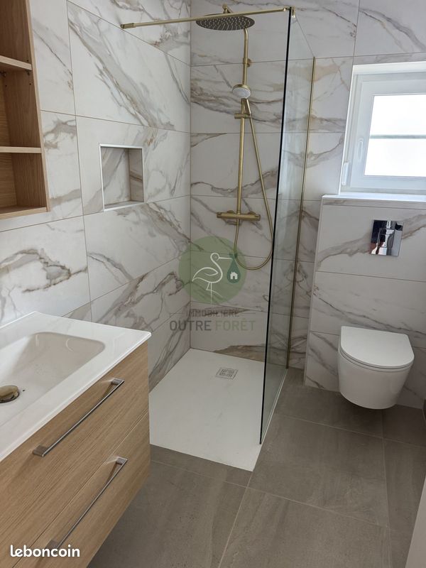 Immeuble 300 m² Haguenau (image 4)