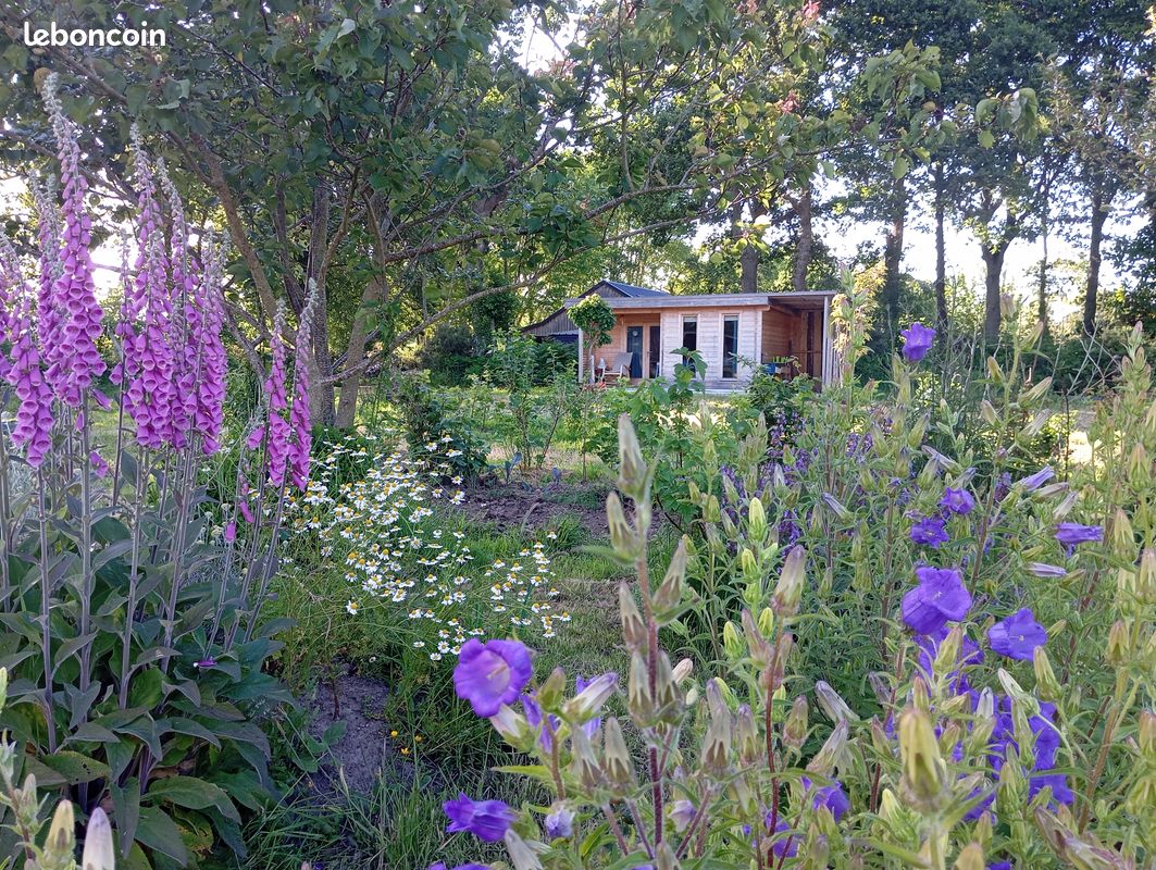 Location vacances (image 5)