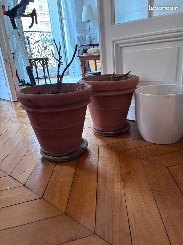 Pots de fleur en terre cuite (image 1)