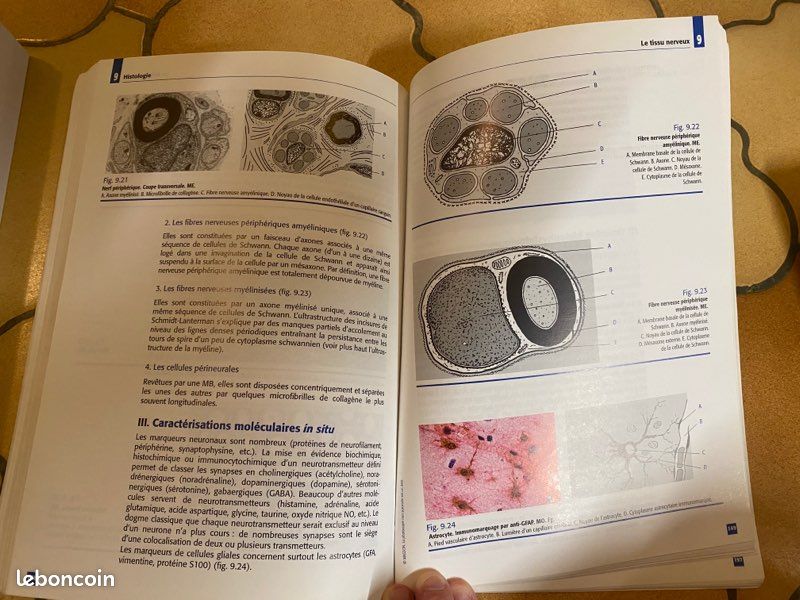 Livre médecine (image 5)