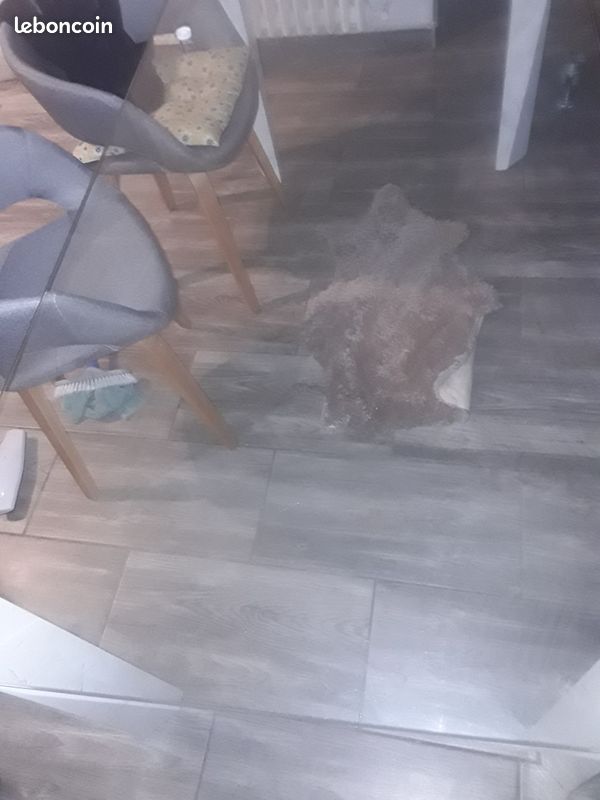 Table salle à manger (image 3)