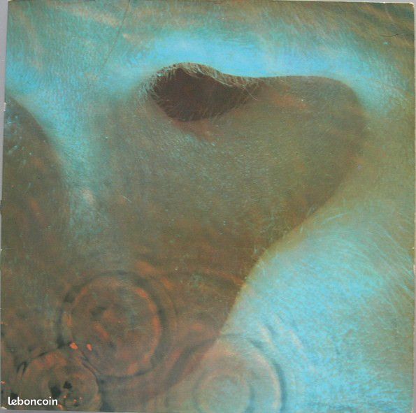 Disques vinyle à prix doux (image 1)
