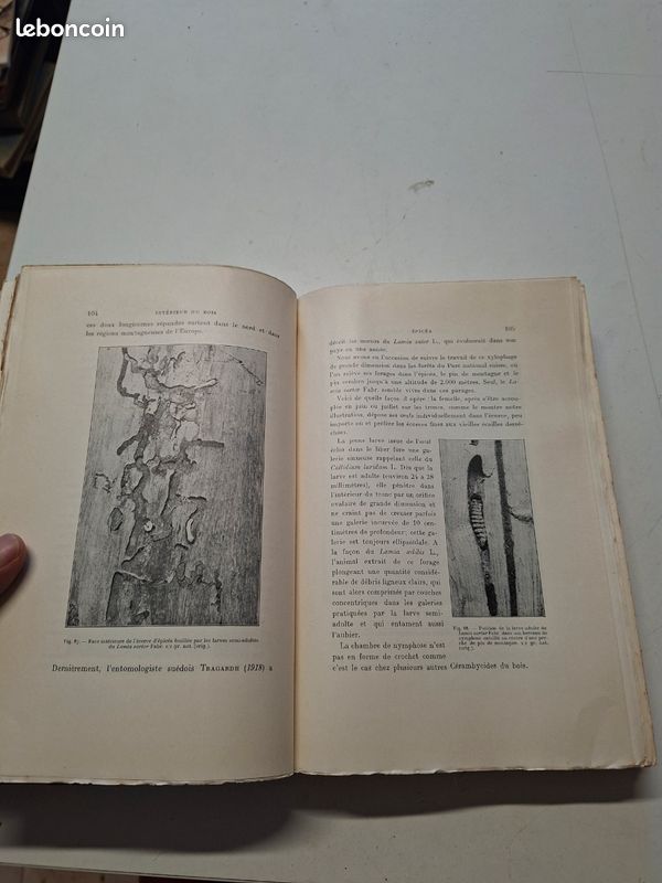 1445J: Traité D Entomologie Forestière A Barbey 1925 8 Planches Couleurs (image 5)