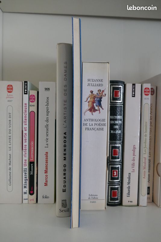 Livre "Pietrasanta" - Jean-Michel FOLON (image 3)