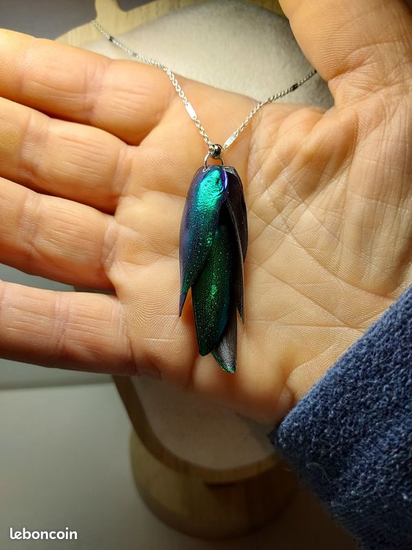 Pendentif élytres Sternocera – Vrai scarabée – Collier argent 925 – Bijou curiosités – Insecte naturel – Chaînes au choix (image 7)