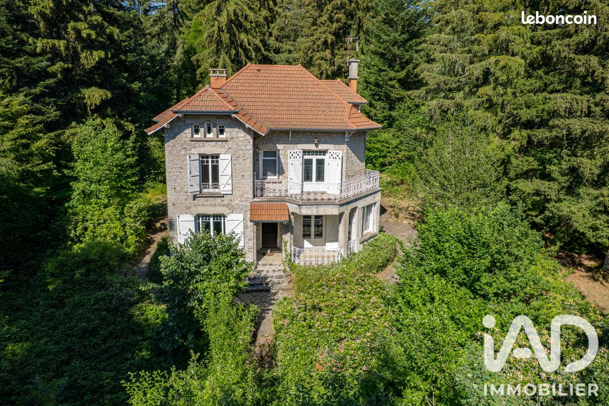 Maison 10 pièces 225 m² · à Planfoy · 225 m² · 320 000 €