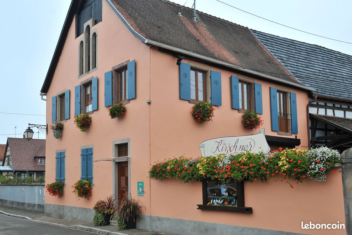 "Le Muscat" Location calme et lumineuse chez le vigneron (image 1)