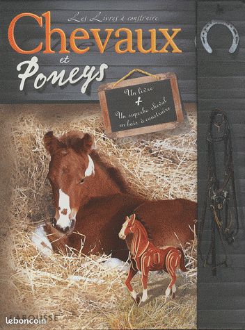Chevaux et poneys (image 1)