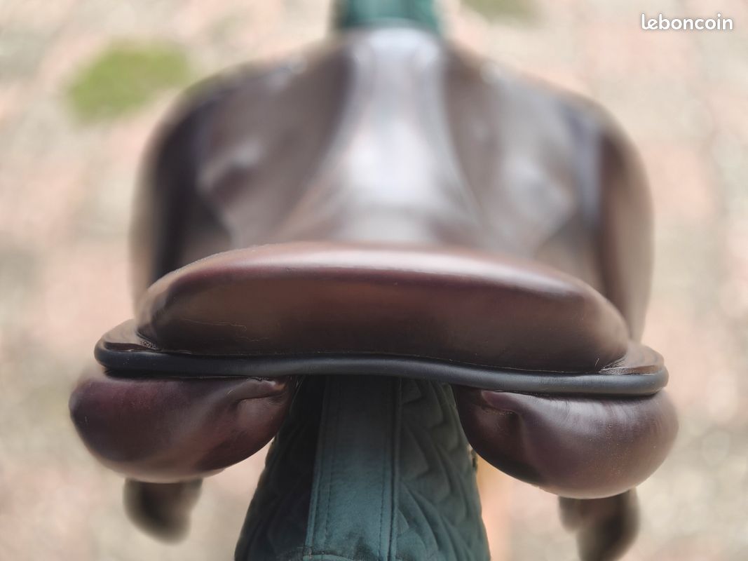 Selle Childeric FSC (image 6)