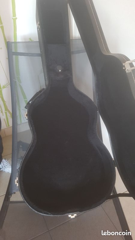Aria Pro II Es 335 hollow body TA 40 WR (image 4)