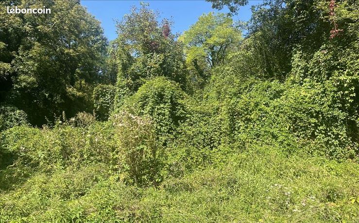 Terrain 1 910 m² La Sauvetat Sur Lede