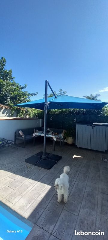 Parasol (image 2)