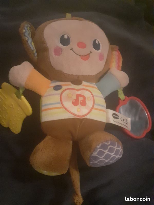 Singe Vtech (image 1)