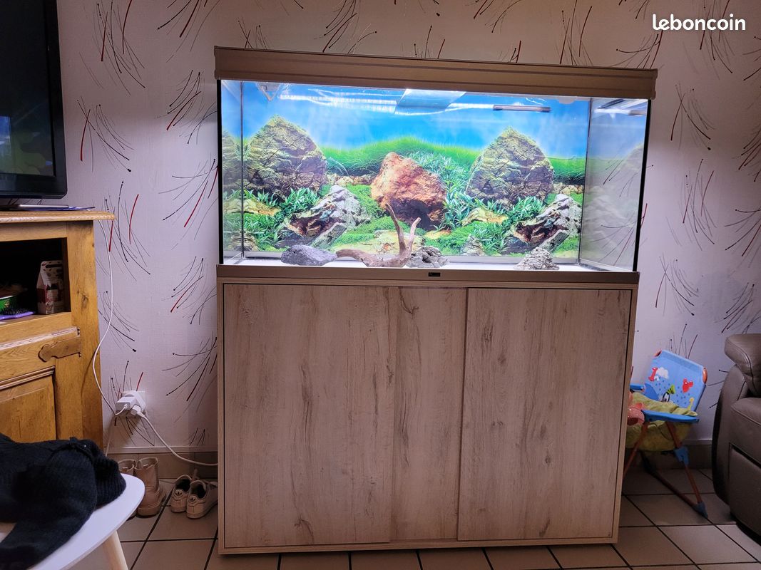 Aquarium (image 2)