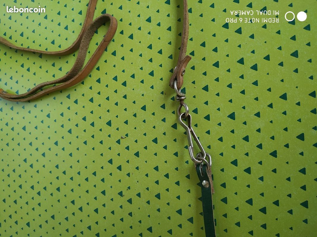 Collier et laisse (image 3)