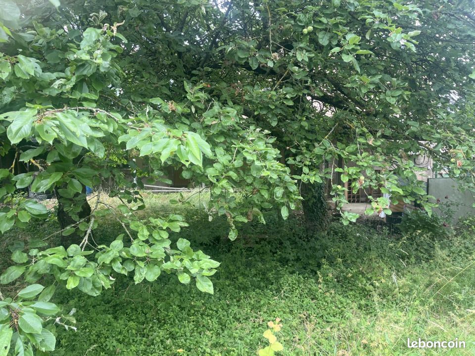 Terrain 250 m² · à Illange · 105 000 €
