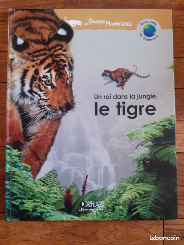 Livre Atlas junior des animaux - Un roi dans la jungle, le tigre (image 1)