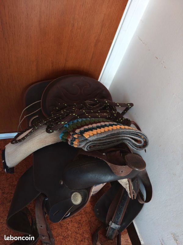 Ensemble Coiffe Western En Cuir Véritable Pour Cheval - Décor Alligator Sarcelle, Marron - Tête Complète Style Western MOUSM