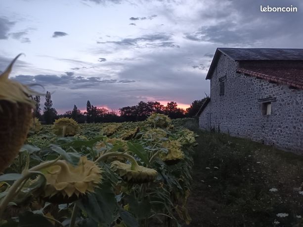 Grange 3 pièces 270 m2