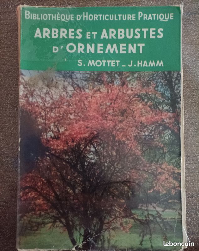 Arbres et arbustes d'ornement (image 1)