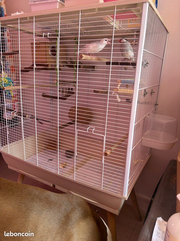 Cage oiseaux avec bac et 4 ouvertures savic beige (image 2)
