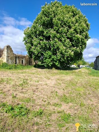 Terrain 1957 m² Saint-Georges-des-Agoûts