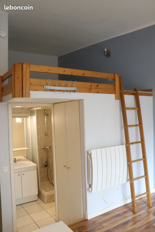 Appartement 1 pièce 19 m² · à Grenoble · 18,5 m² · 340 €/mois