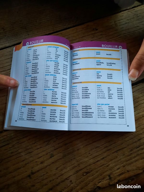 Livre aide à la conjugaison (image 5)