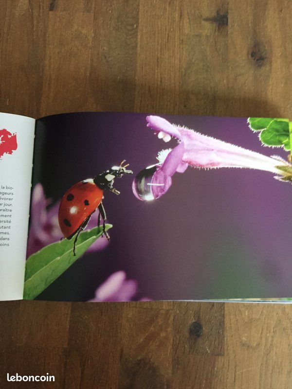 Livre :La biodiversité Yann Arthus -Bertrand (image 4)
