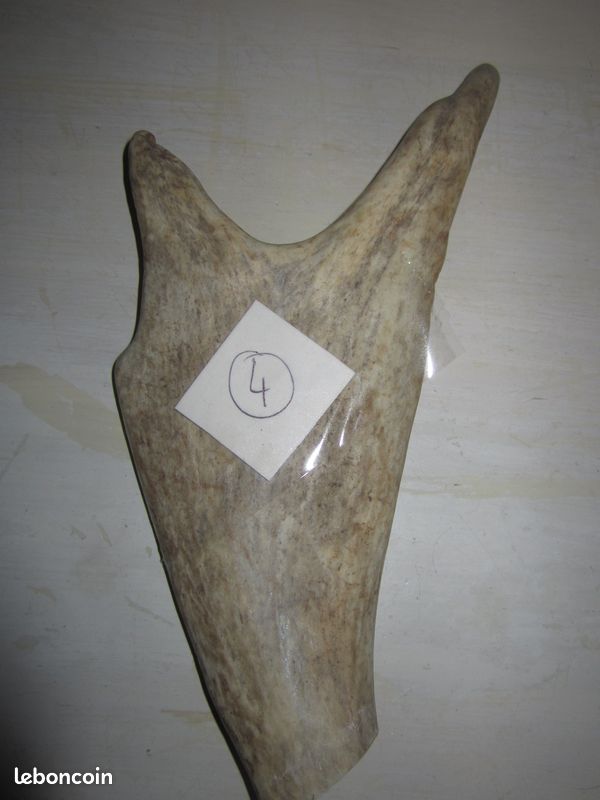1 Jouet Bois Longue Durée : n°-4*2B-) = pour Chien Moyen Grand = Divertissement (image 1)