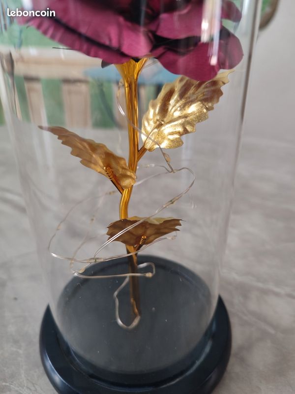 Rose sous globe en verre couleur fushia (image 4)