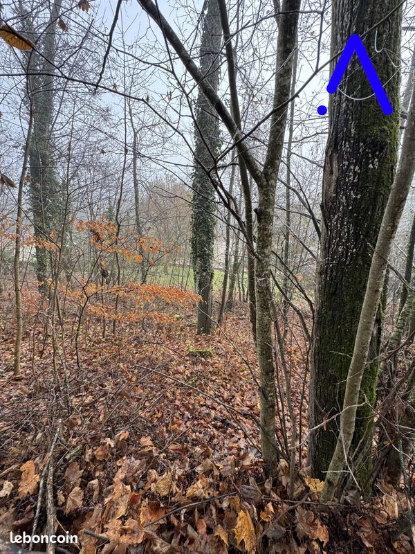 Terrain 983 m² Lunéville (image 2)