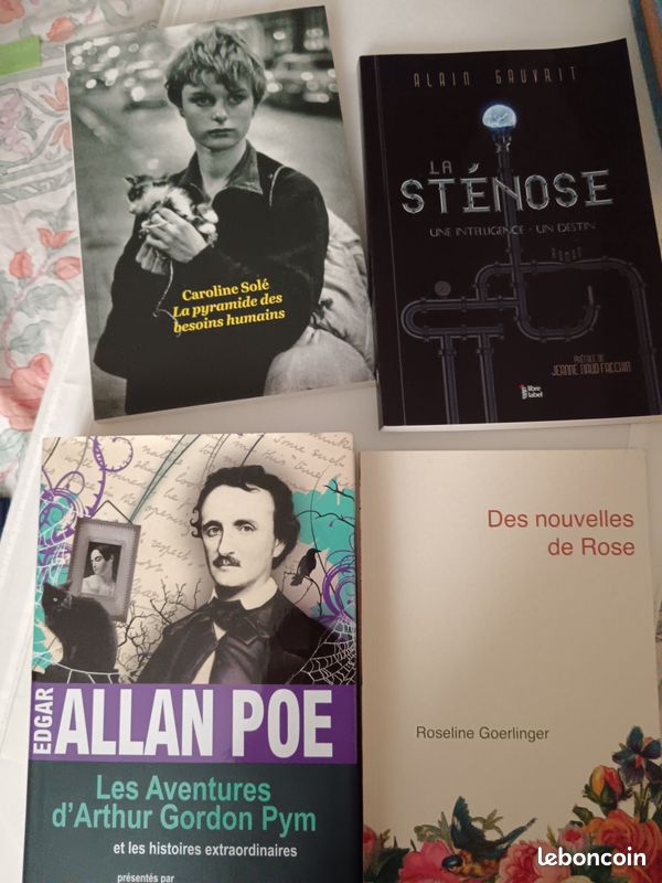 Allan Poe Mafalda, Molière Antologie poésie Française Ile au trésor A Chedid (image 1)