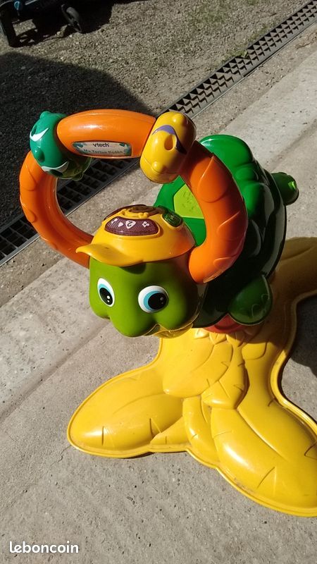 Tortue rebondissante (image 1)