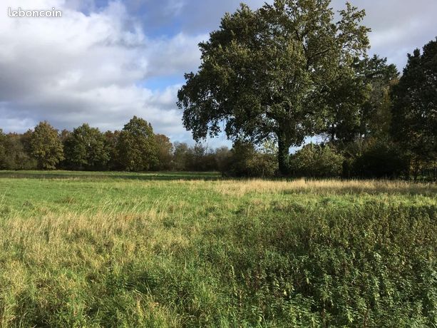 Terrain 1100 m² Servon-sur-Vilaine
