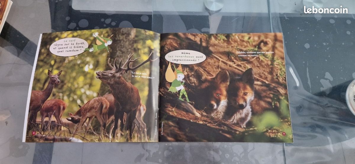Livre : en forêt avec la fée Danaé (image 4)