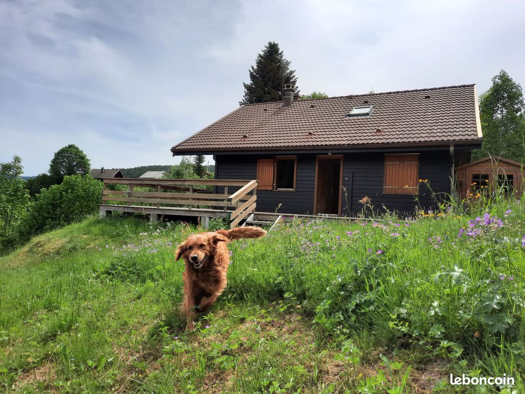 Chalet avec vue 5/6 personnes à Xonrupt-Longemer DISPONIBILITES ETE (semaines 28 et 35) (image 5)