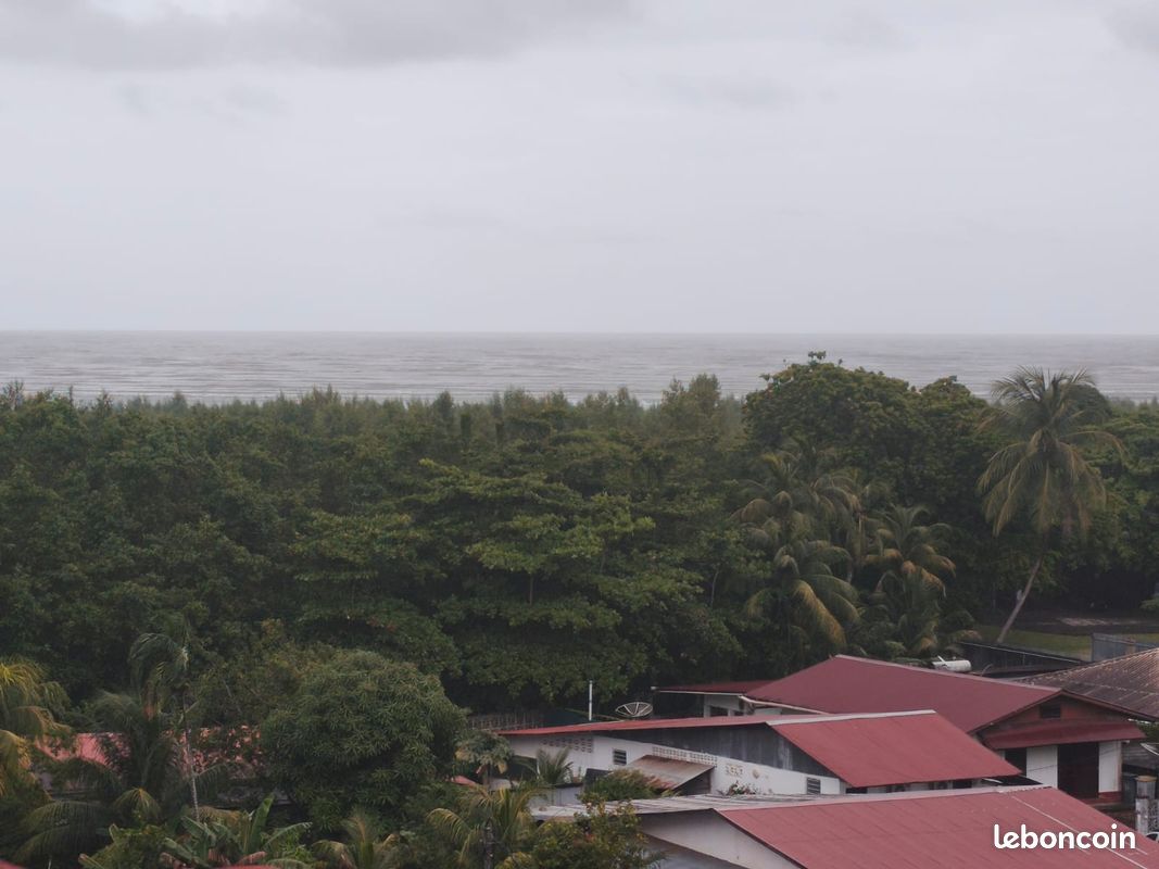 Appartement 3 pièces 65 m² · à Cayenne · 65 m² · 950 €